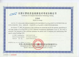 《網站組建與維護精品課 構建穩固、高效的數字門戶》